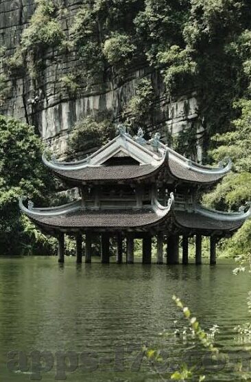 成人免费视频播换-与网络伦理，界限与思考