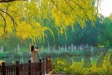 麻豆传媒映画国产-麻豆传媒映画国产，本土文化的影视净土